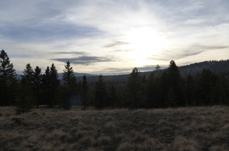 Sickler Creek, MT Highway 2, Approximately 18 Miles West of Kalispell